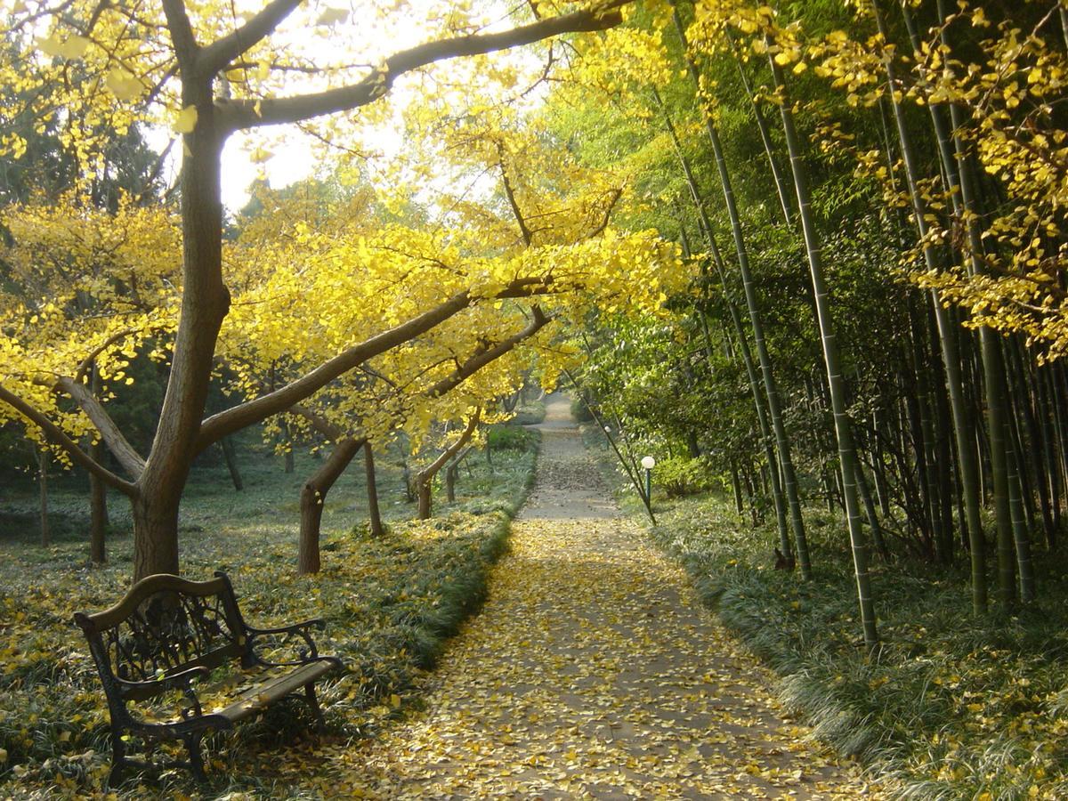 โรงแรมไท่หู อู๋สี อู๋ซี ภายนอก รูปภาพ